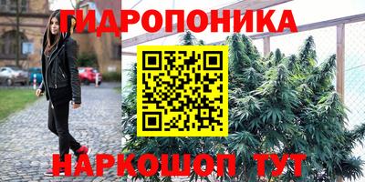 мяу мяу мука Гай