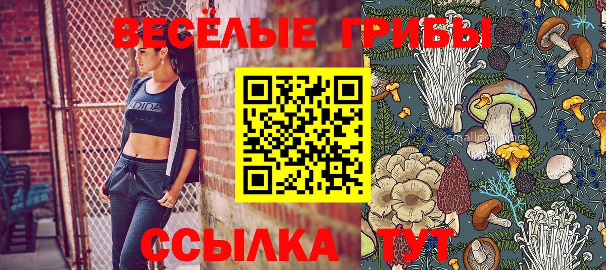 Галлюциногенные грибы GOLDEN TEACHER  Вход с VPN  Медногорск 